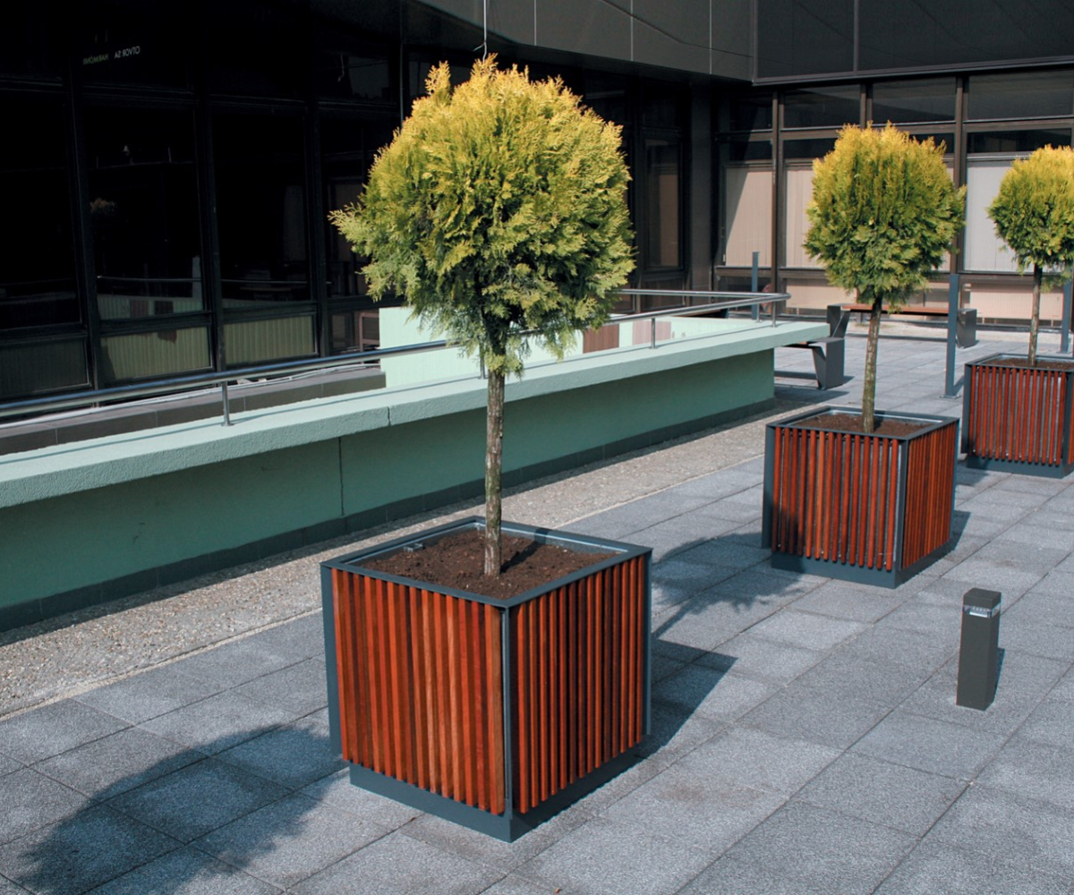 微信图片_202408161703511